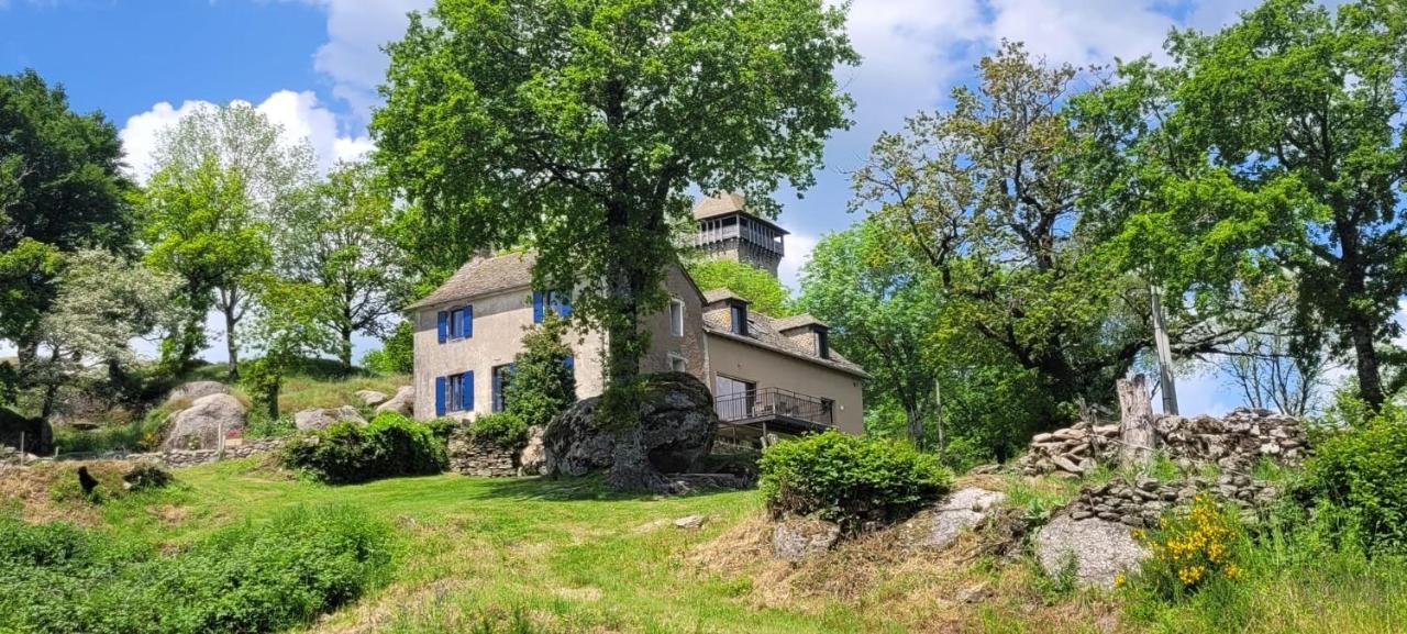Gite A La Tour De Peyrebrune Alrance Bagian luar foto